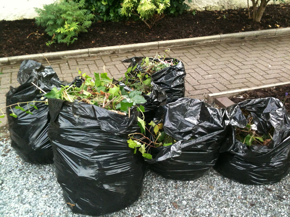 2014-07-20 16.55.11 (1)