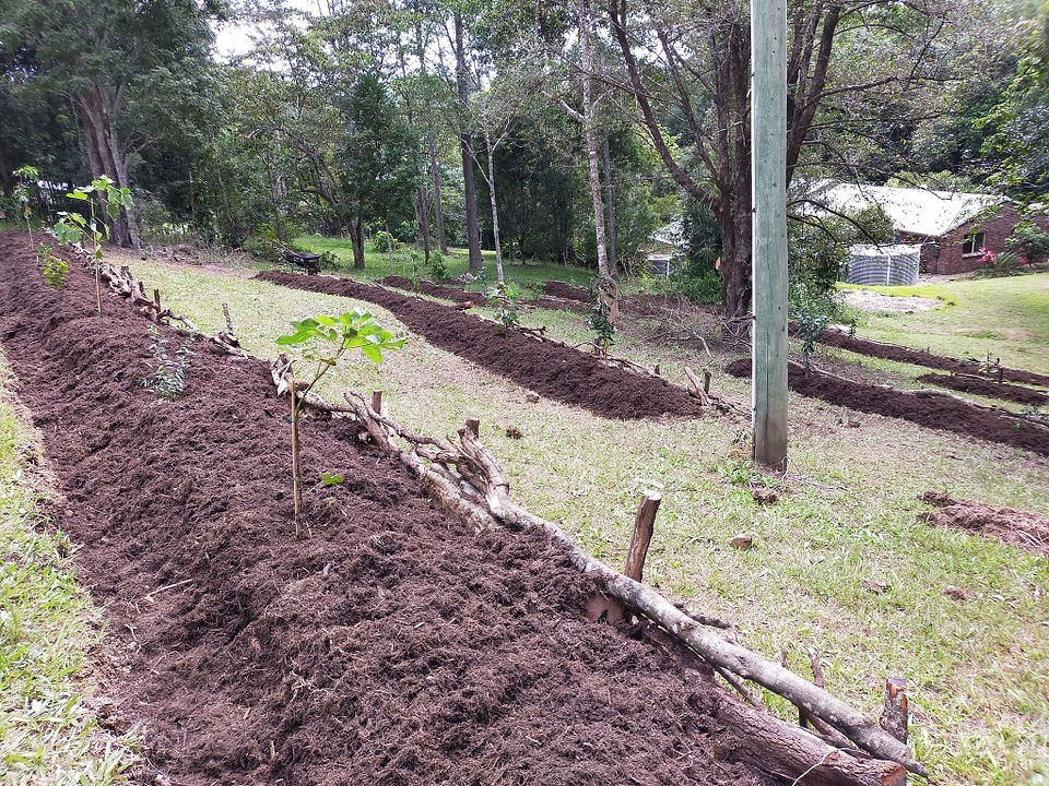 Double-grind mulch throughout an orchard