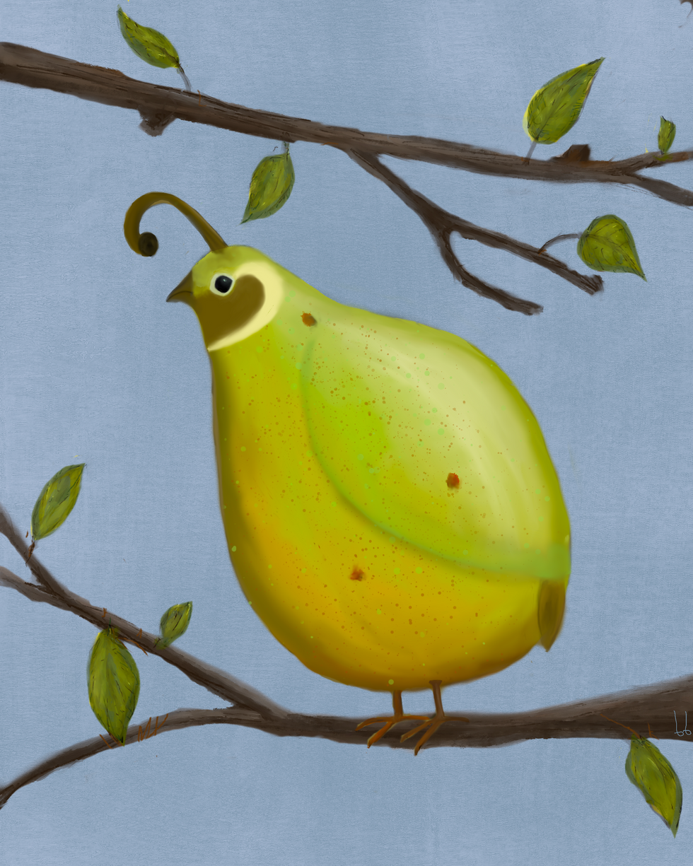 a pear-tridge in a pear tree