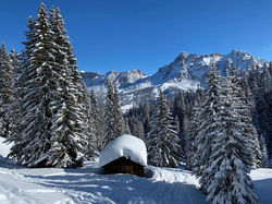 Dolomites