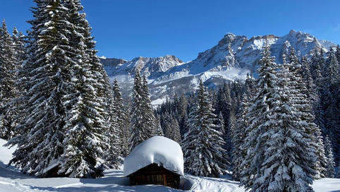 Exclusive lunch in private hut