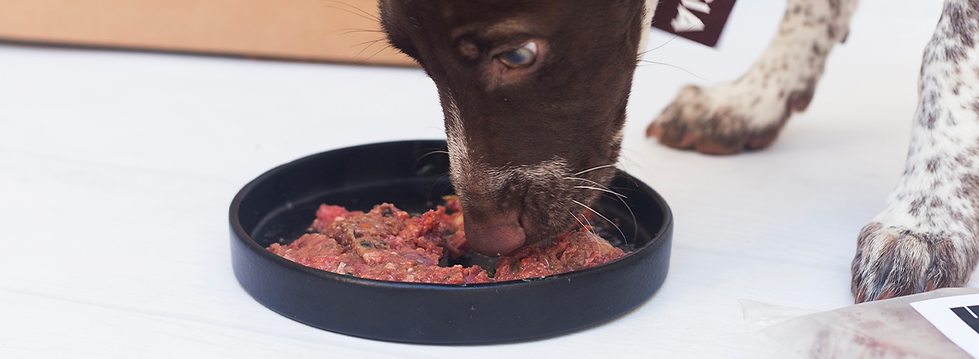 banner todos los productos-raw.png