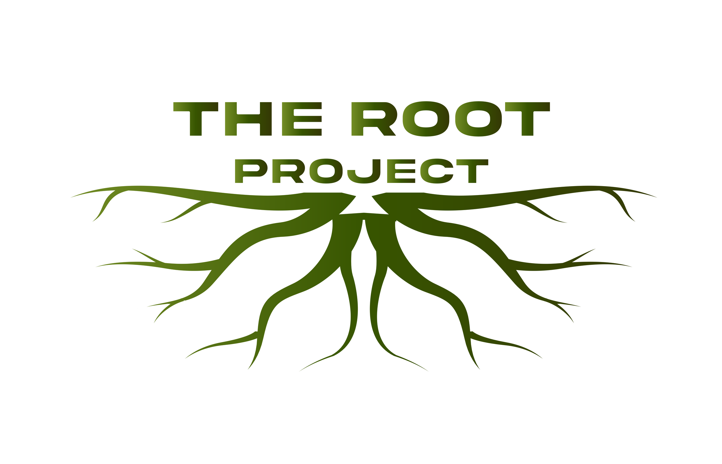 Programs | The Root Project