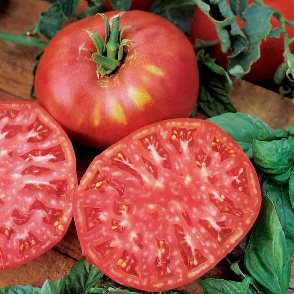Tomate « Beefsteak »