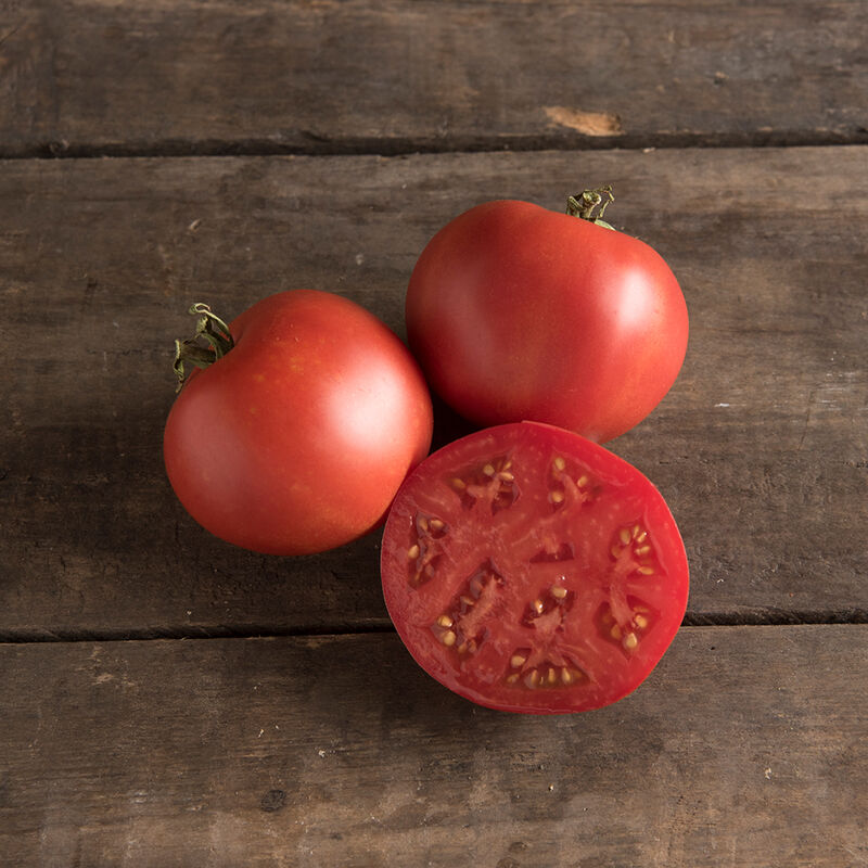 Tomate hâtive
