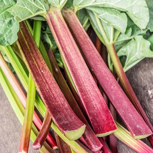 Rhubarbe