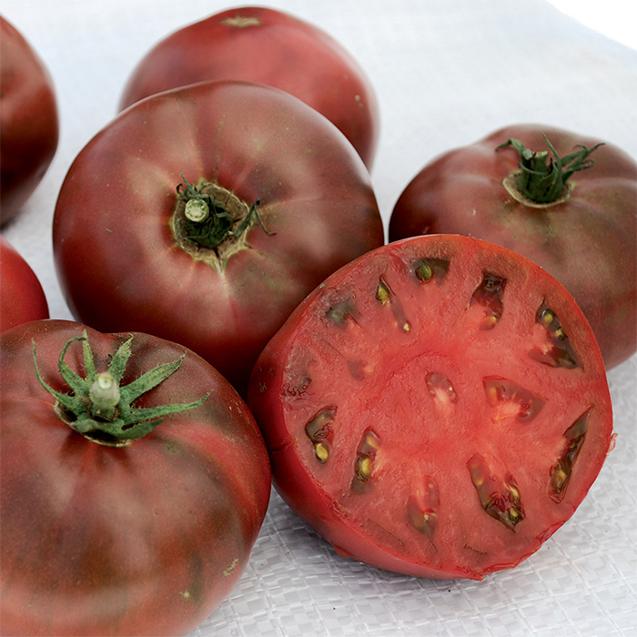 Tomate noire