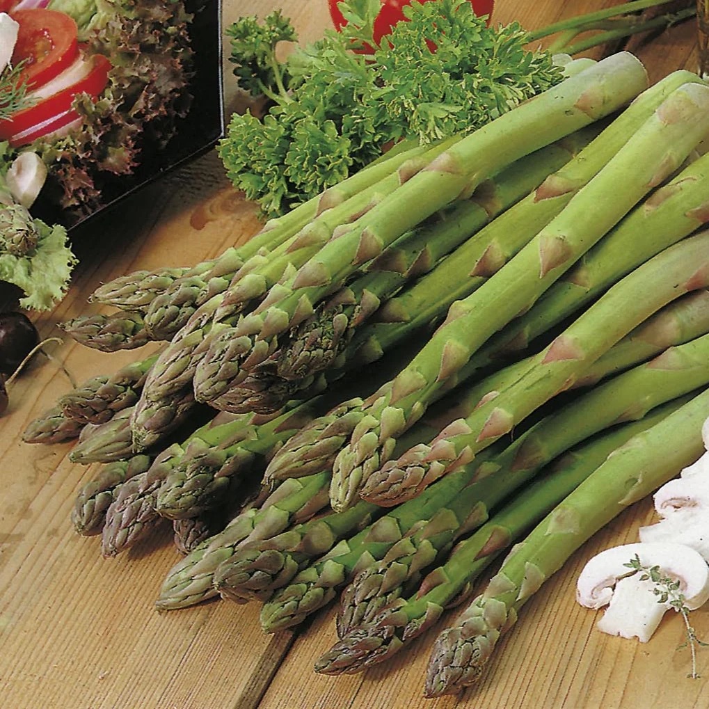 Asperge