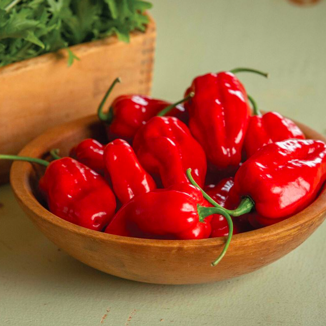 Piment Habanero doux
