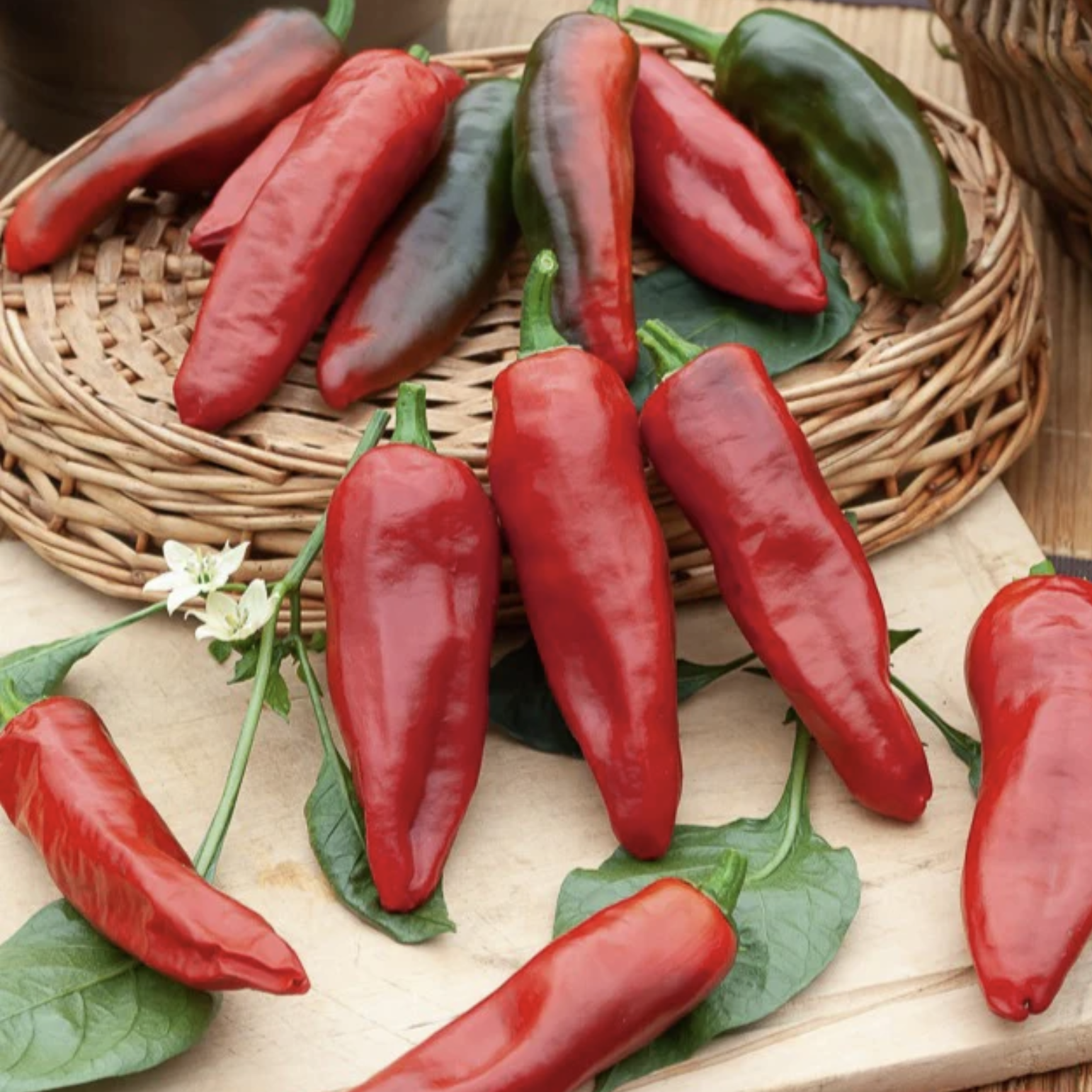 Piment Gorria (Espelette)