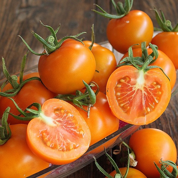 Tomate-cocktail orange
