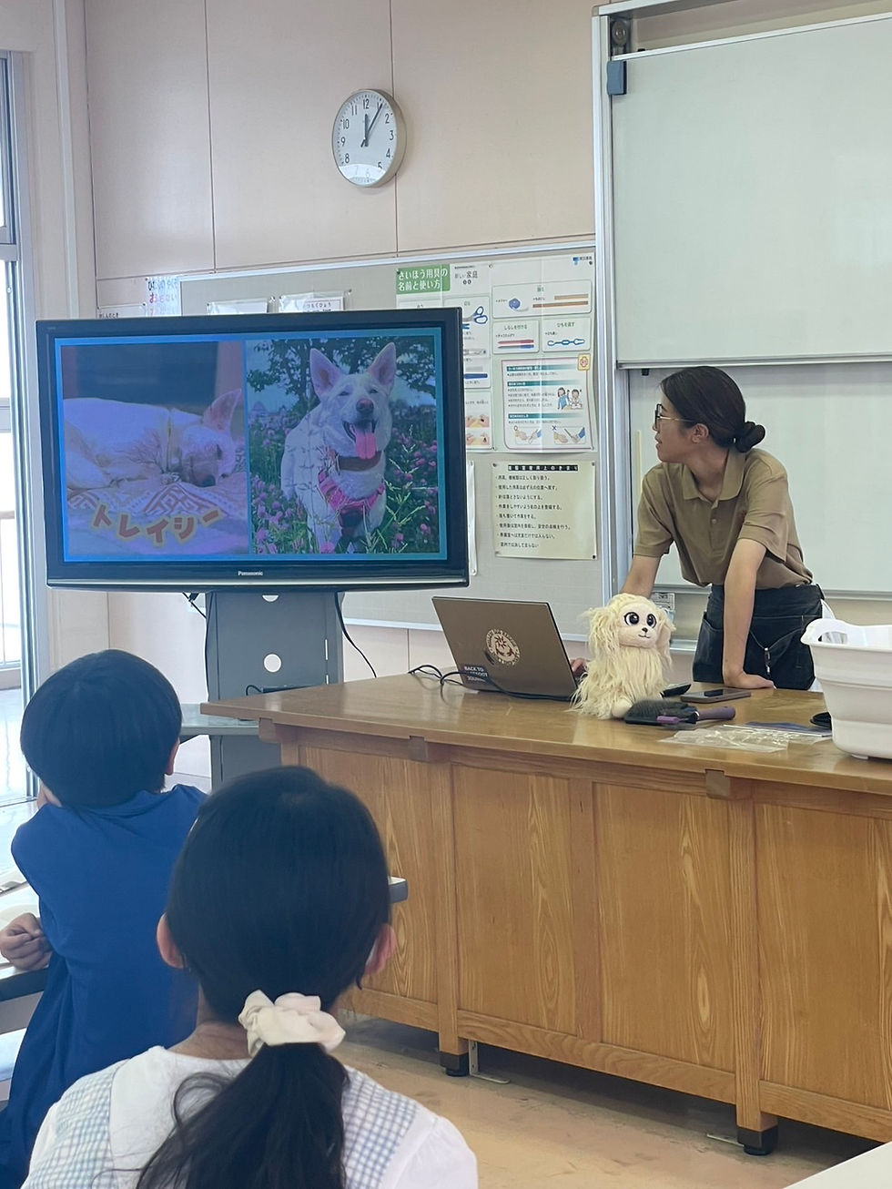 職業について紹介するキャリア教育の授業。グルーマー・保護活動についてのお話