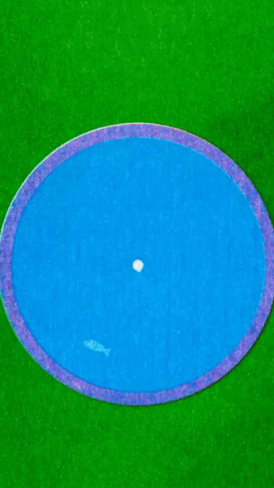 RISOANIMATION_REEL (7).gif