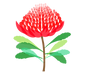 Waratah Room