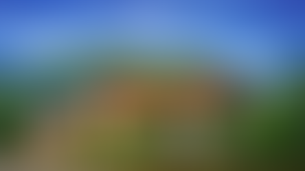 Capturing the Spirit of Asia: Exploring Art and Artifacts at Coughlin's Auctions