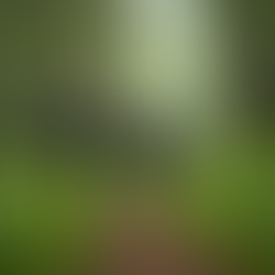 Exciting Outdoor Team-Building Activities for Groups