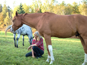 Qu'est-ce qu'un professionnel équin en mieux-être facilité par le cheval?