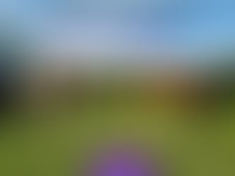 Informations supplémentaires concernant le programme LFC 2025