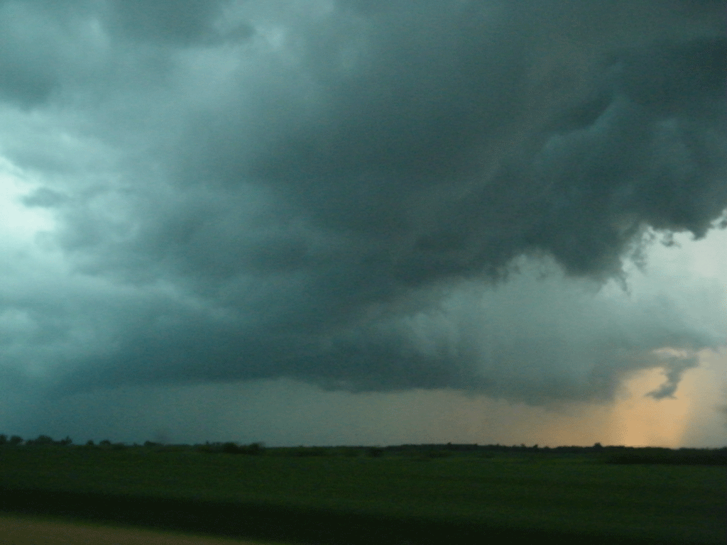 DSCF0365.gif