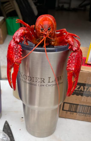 A Nodier Law Crawfish Boil