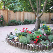 childcare-back yard-nature science(1).JPG