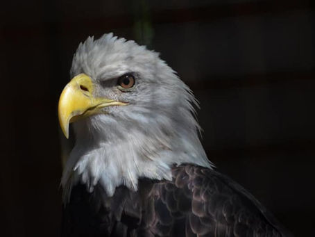 Happy Birthday Penelope!