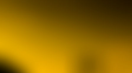 Studio Rinaldo Reis - Parceria de Sucesso