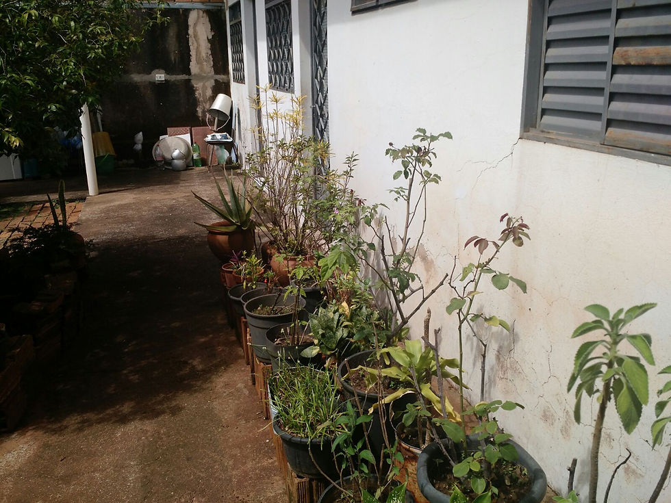 IMG-20160202-WA0022