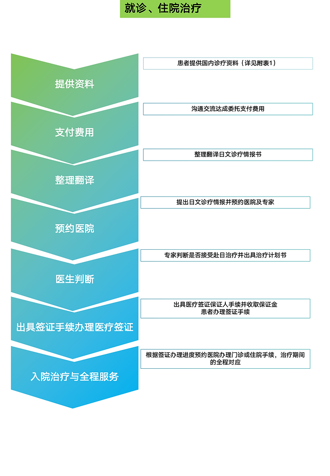 跨境医疗服务流程_03.png