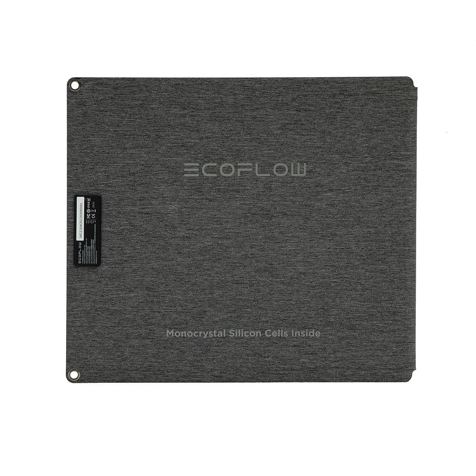 Thumbnail: EcoFlow 110W Solar Panel