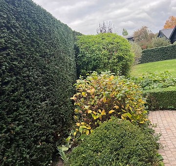 Un résultat professionnel et durable