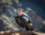 shutterstock_1523090699-Licensed.jpg