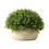 Thumbnail: Artificial Oval Topiary