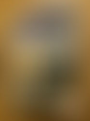 Το νέο τυπικό της τάξεως 32 ΕΜΕ.