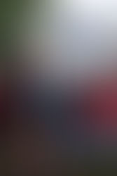 Το Ύπατο Συμβούλιο και η Επέτειος του Πολυτεχνείου