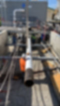 IMG_0095.jpeg