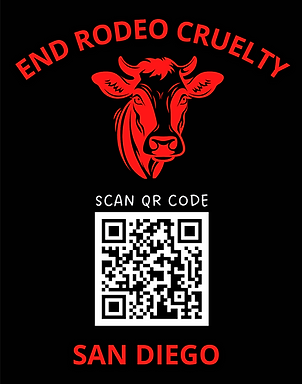 Screenshot 2025-08-18 at 4.31.58 PM.png