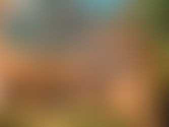 Coleção de saberes