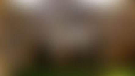 Templos megalísticos