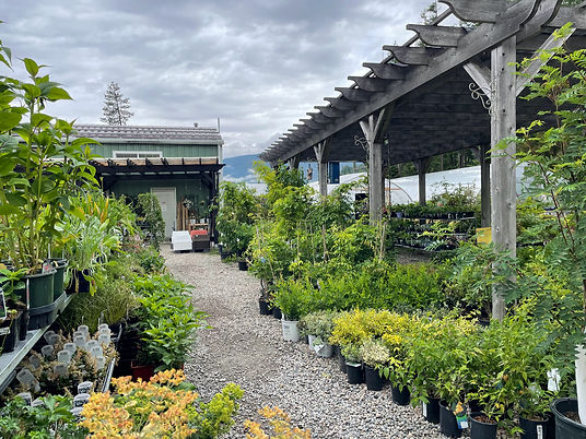 Welcome to DIG Garden Centre.jpeg