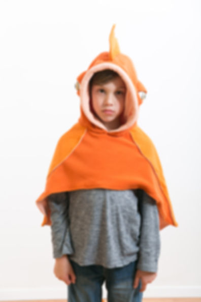 GOLDFISH דג זהב