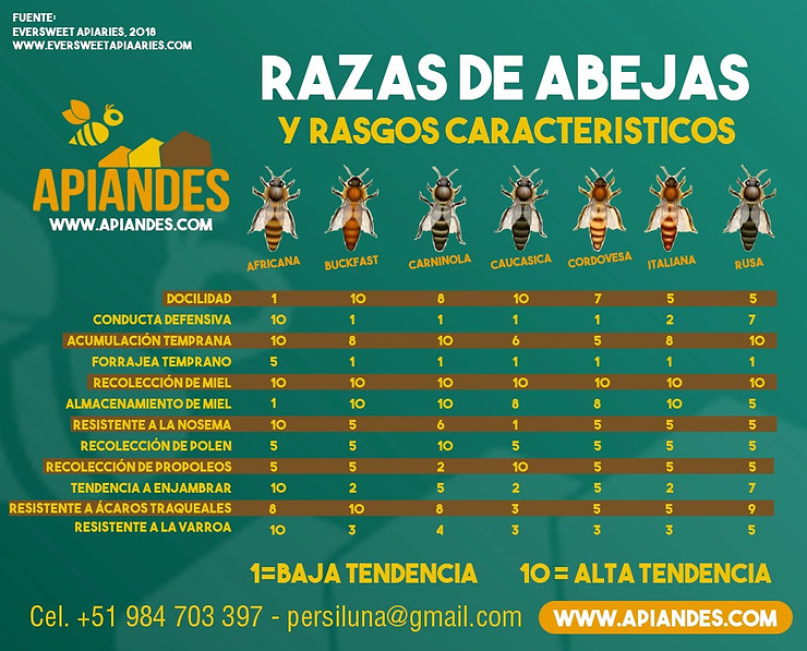 06b99623-d1e3-473b-81be-a2cbacca2c37.jpg