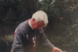 WhatsApp Image 2018-11-26 at 9.18