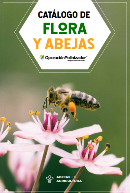 catalogo flora.png