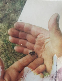 WhatsApp Image 2018-11-26 at 9.18