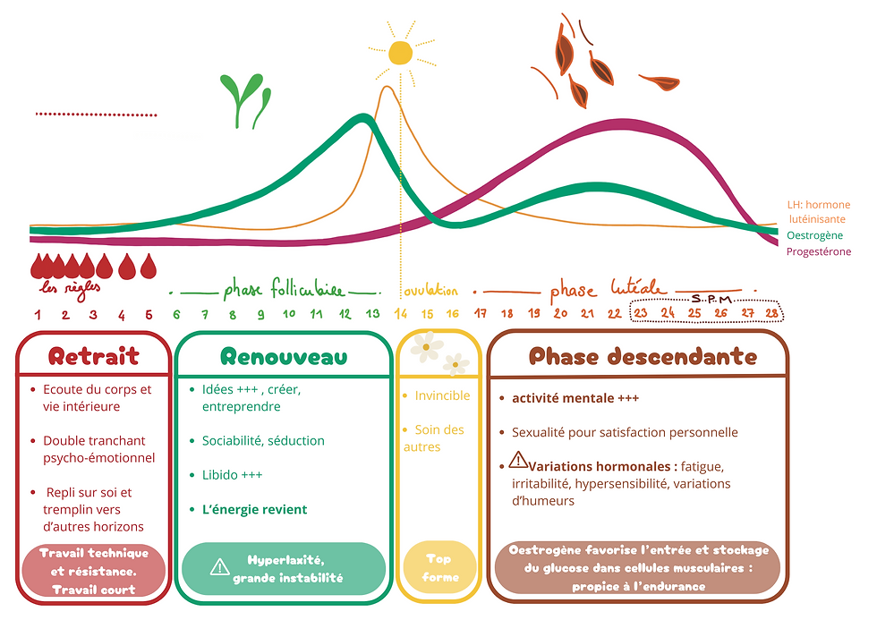 pratique physique du yoga selon les cycles menstruels et ses règles