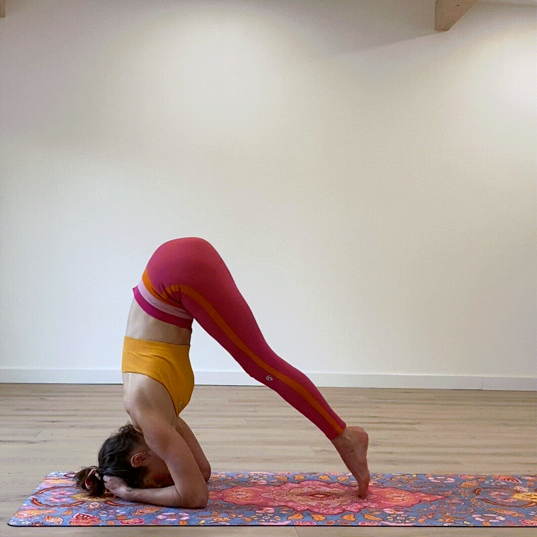 montée sans élan sans sauter en press sirsasana