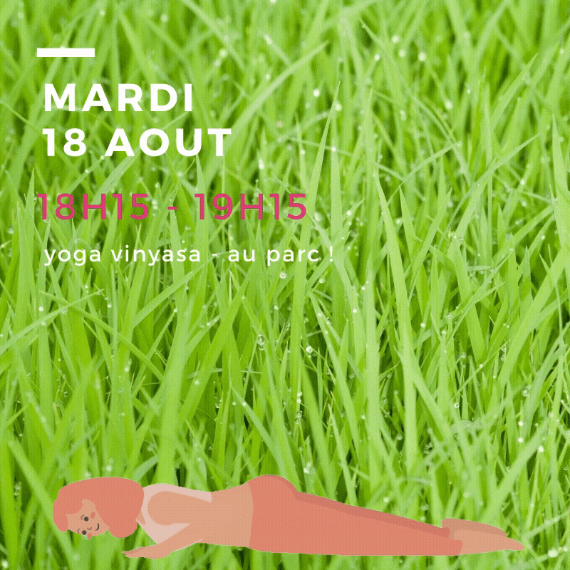 mardi 18 aout - au parc ( ou salle s'il pleut )