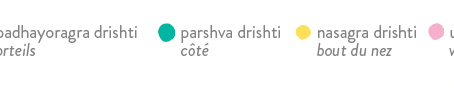 LES DRISHTIS