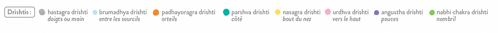 LES DRISHTIS